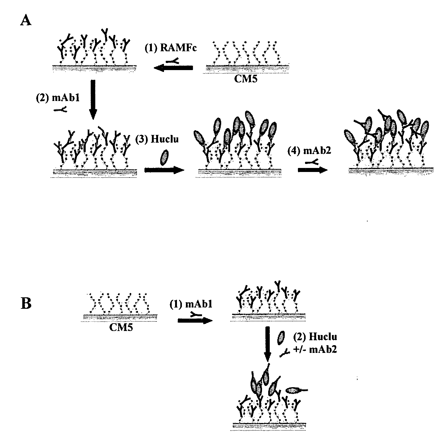 Methods and compositions for modulating tumor cell activity