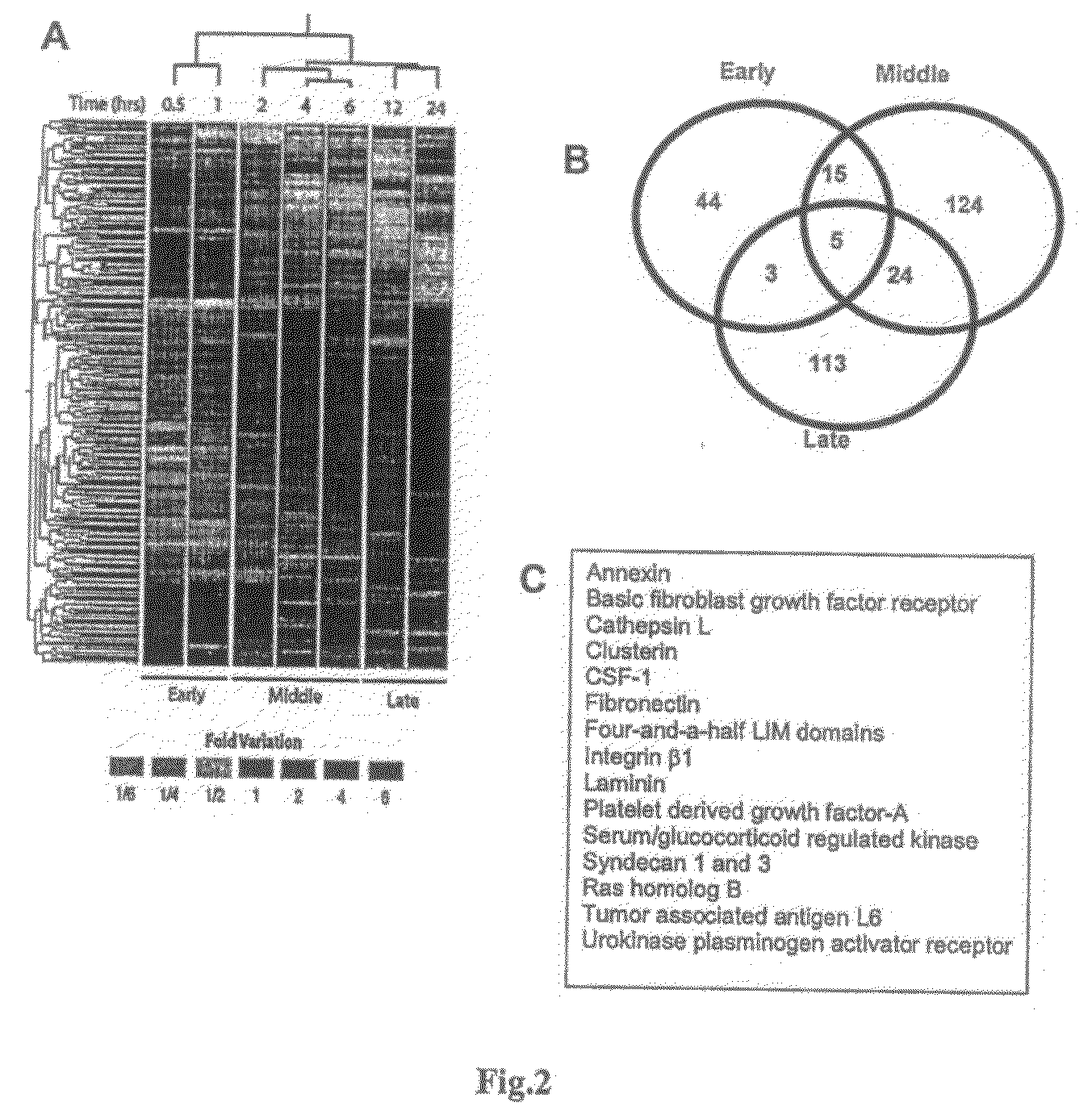 Methods and compositions for modulating tumor cell activity