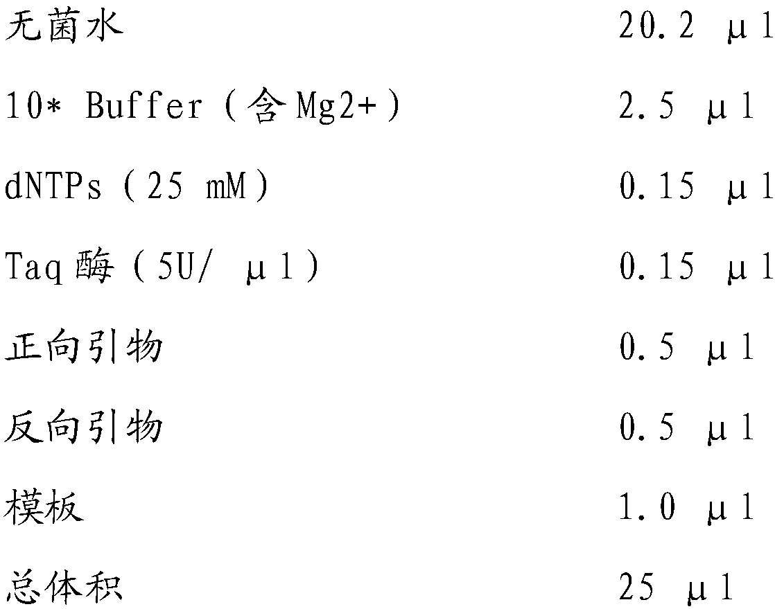 Molecular marker closely linked to rice-taste-related QTLs and screening method thereof