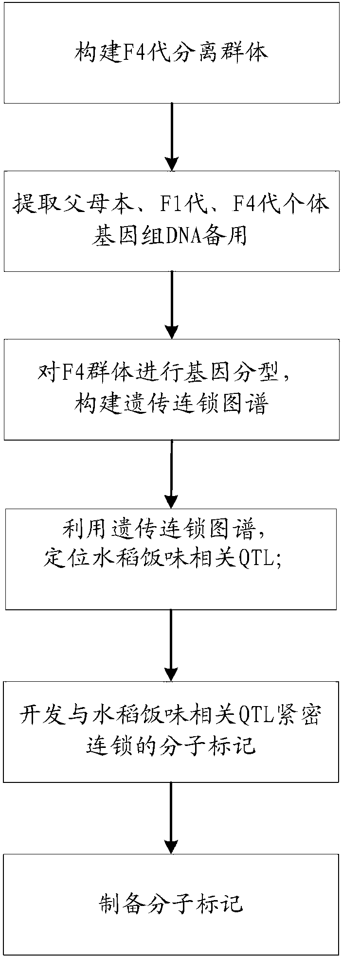 Molecular marker closely linked to rice-taste-related QTLs and screening method thereof