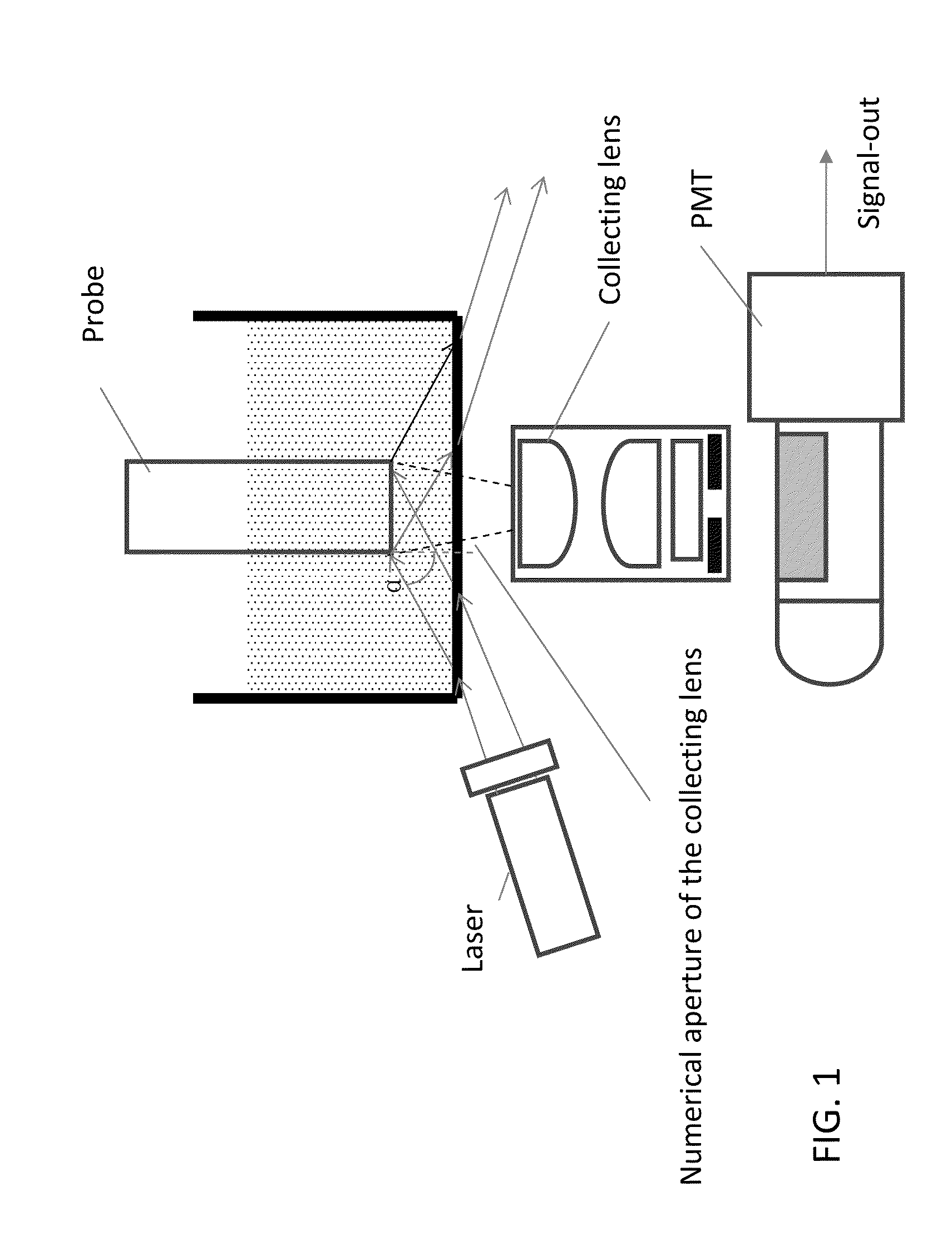 Luminescent polymer cyclic amplification