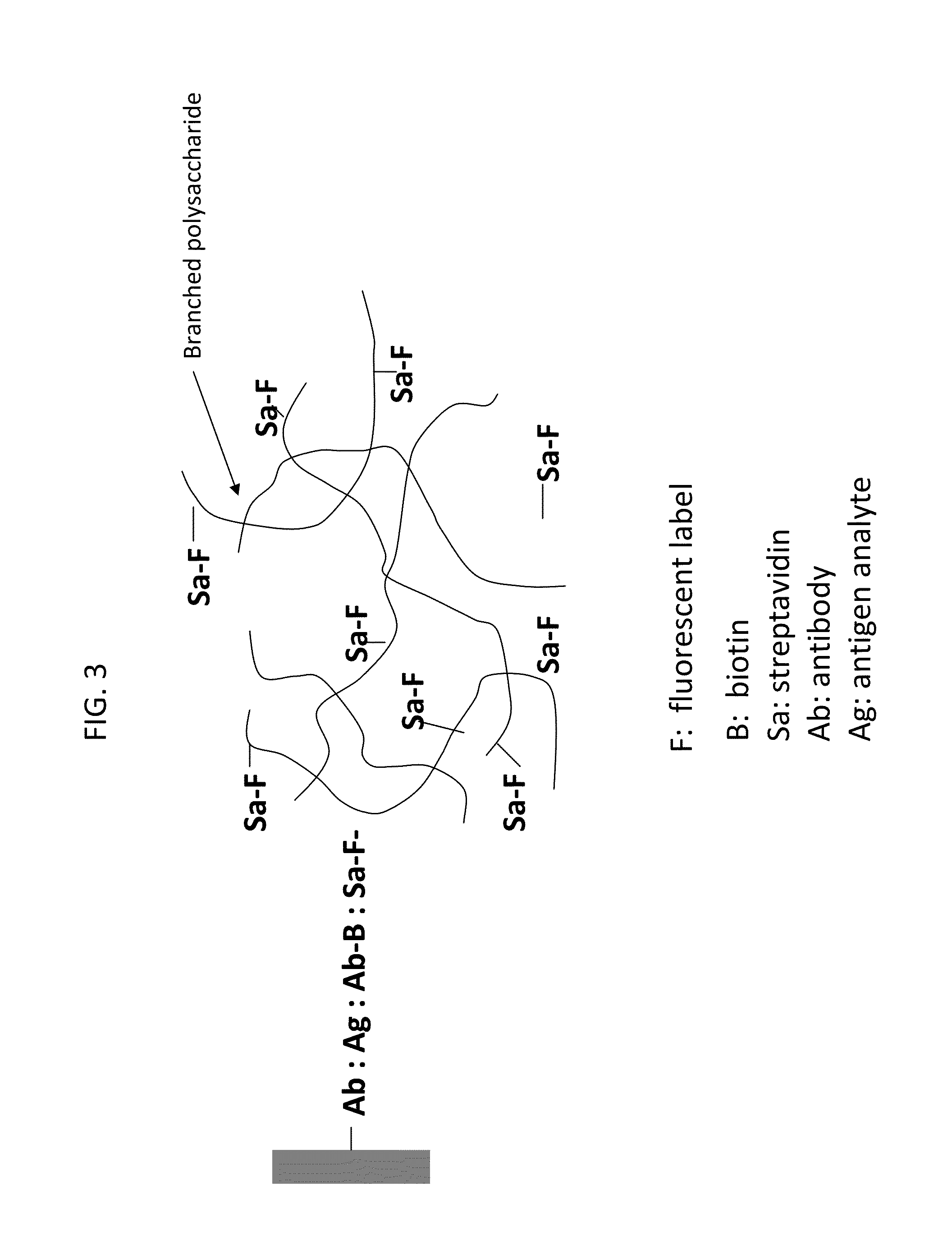 Luminescent polymer cyclic amplification