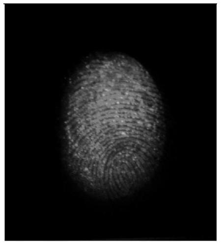 A developer and its preparation method and a fingerprint display method