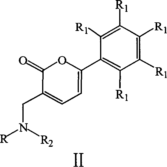 Substituted methylene pyrones derivatives and their preparing process and use
