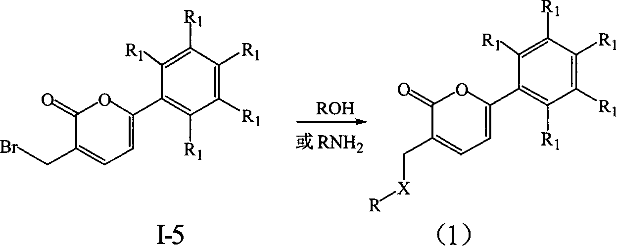 Substituted methylene pyrones derivatives and their preparing process and use