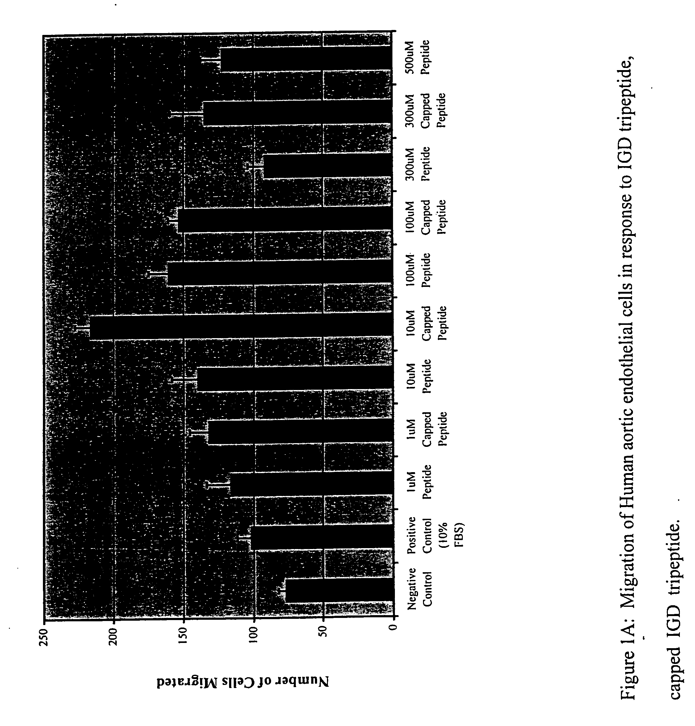 Compositions and methods for promoting myocardial and peripheral angiogenesis