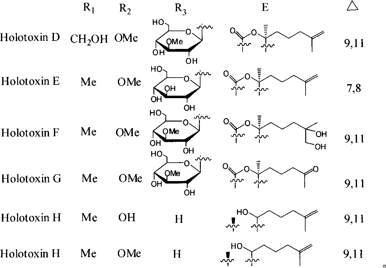 Triterpene glycosides antifungal compounds of sea cucumber HolotoxinD-I and preparation method thereof