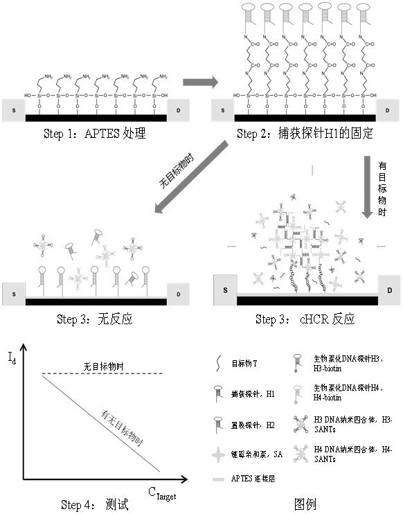 Indium tin oxide field effect transistor biosensor based on DNA nano quadruple and application of indium tin oxide field effect transistor biosensor