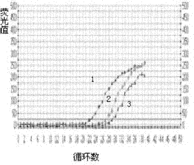 Reagent for detecting francisella tularensis and complex probe and fluorescent quantitative polymerase chain reaction (PCR) method for detecting francisella tularensis