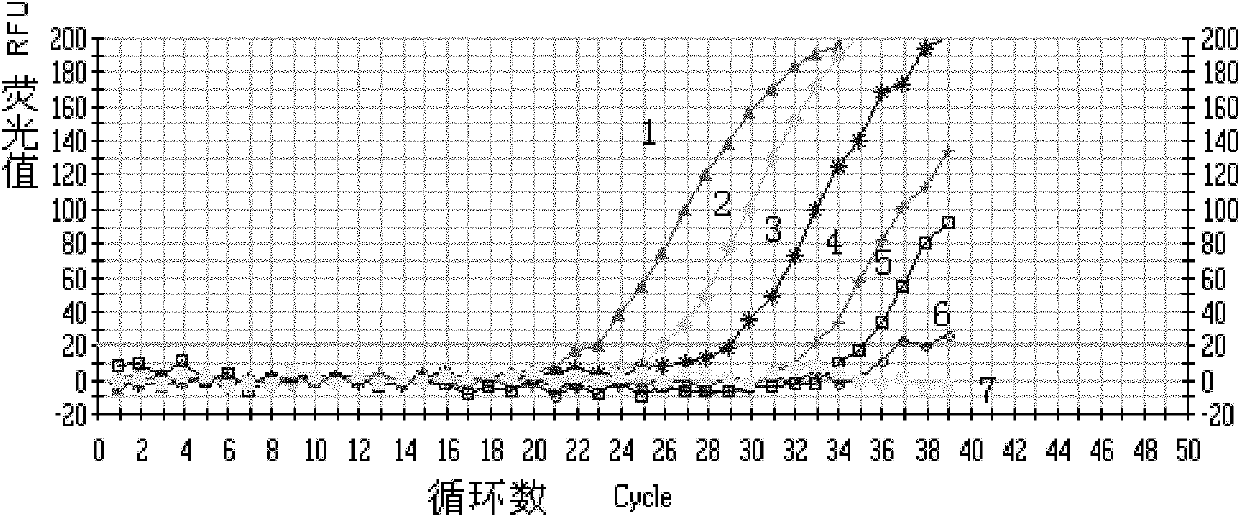 Reagent for detecting francisella tularensis and complex probe and fluorescent quantitative polymerase chain reaction (PCR) method for detecting francisella tularensis