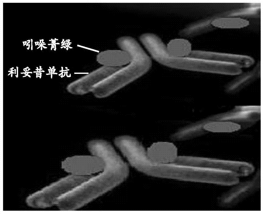 Preparation method of breast cancer sentinel lymph node tracer agent indocyanine green-rituximab