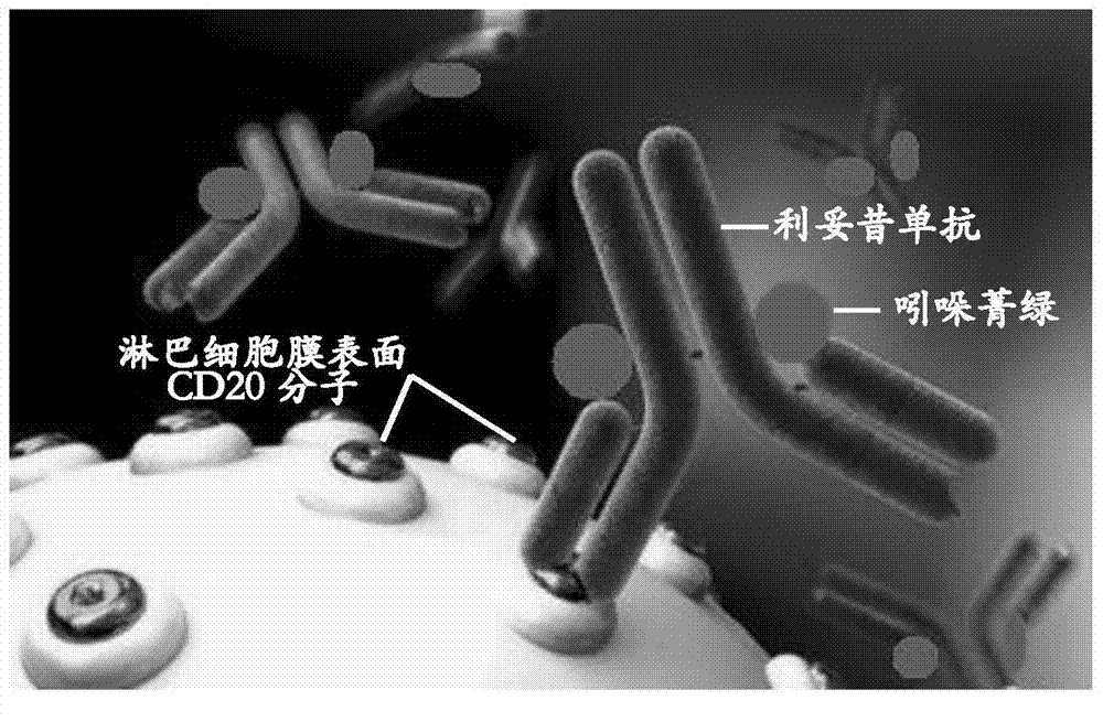 Preparation method of breast cancer sentinel lymph node tracer agent indocyanine green-rituximab