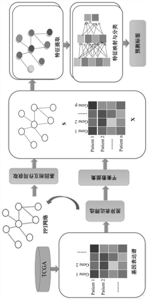 Distance metastasis identification method based on gene interaction mode optimization graph representation