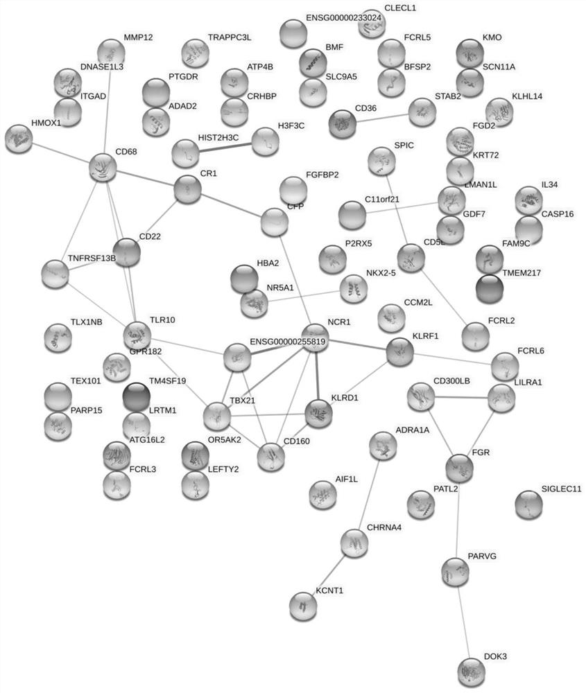 Distance metastasis identification method based on gene interaction mode optimization graph representation