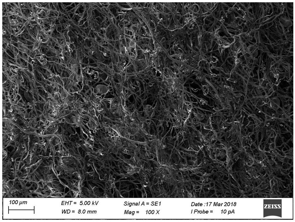 Fluorescent staining slide preparation method for observing forms of glandular hair and non-glandular hair of plant leaf epidermal hair