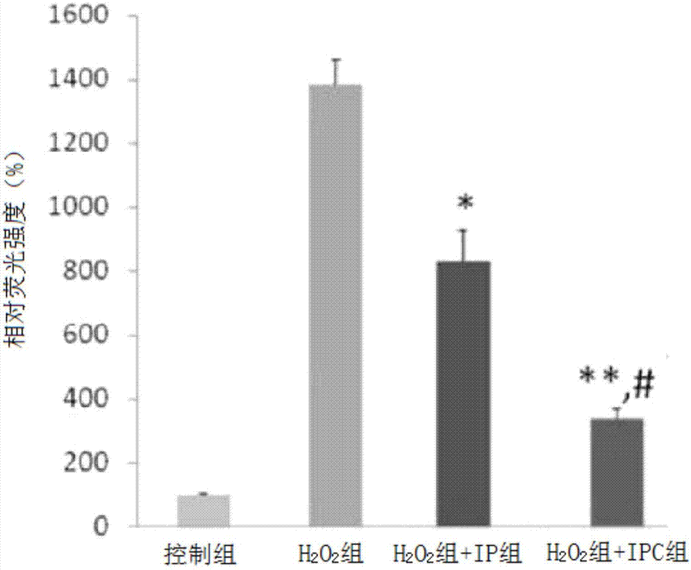 Uses of mesembryanthemum crystallinum l. callus extract in delaying skin cell aging, nursing skin, treating and preventing skin cancer