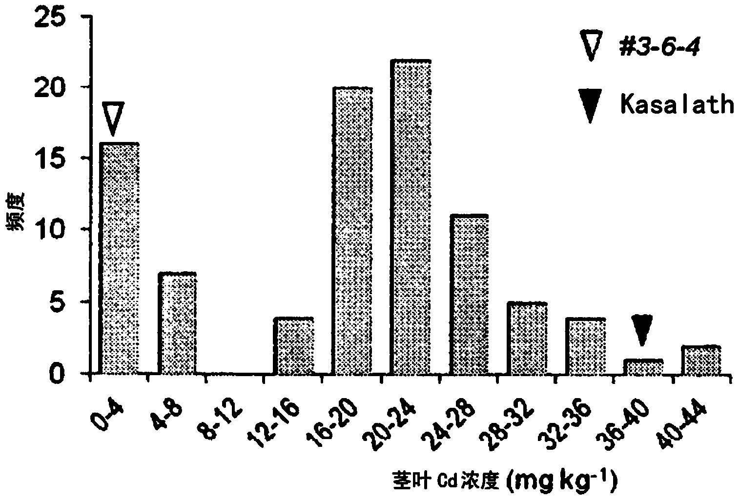 Cadmium absorption regulation gene, protein, and rice plant having reduced cadmium absorption