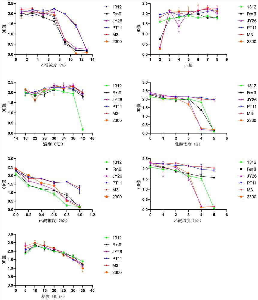 Pichia kudriavzevii with high tolerance and low isoamyl alcohol yield and application of pichia kudriavzevii