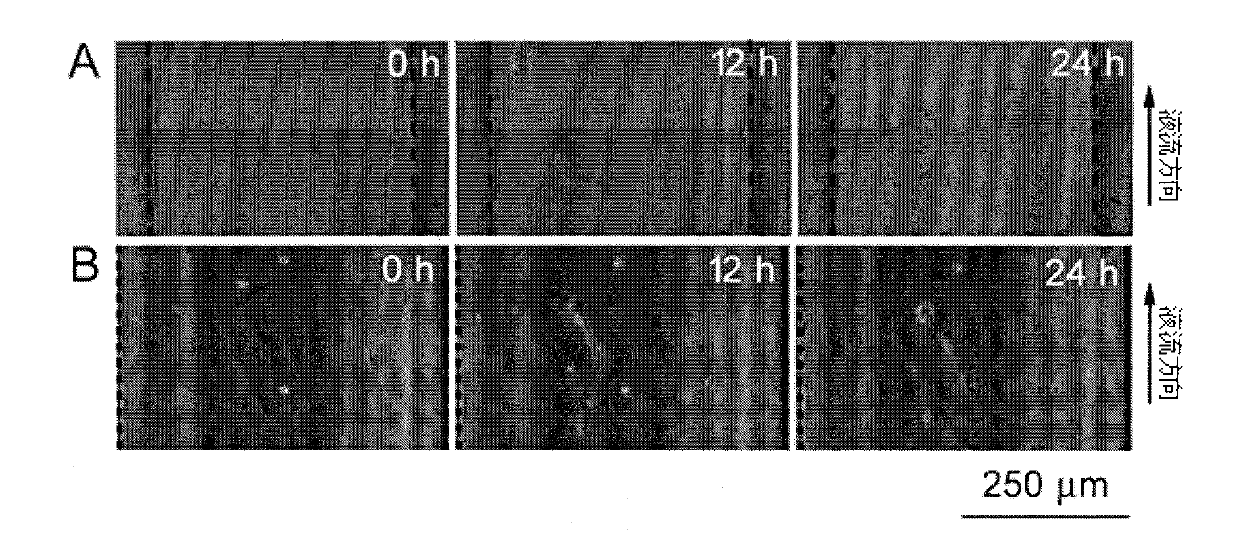 Bubble removing device used for microfluidic channel