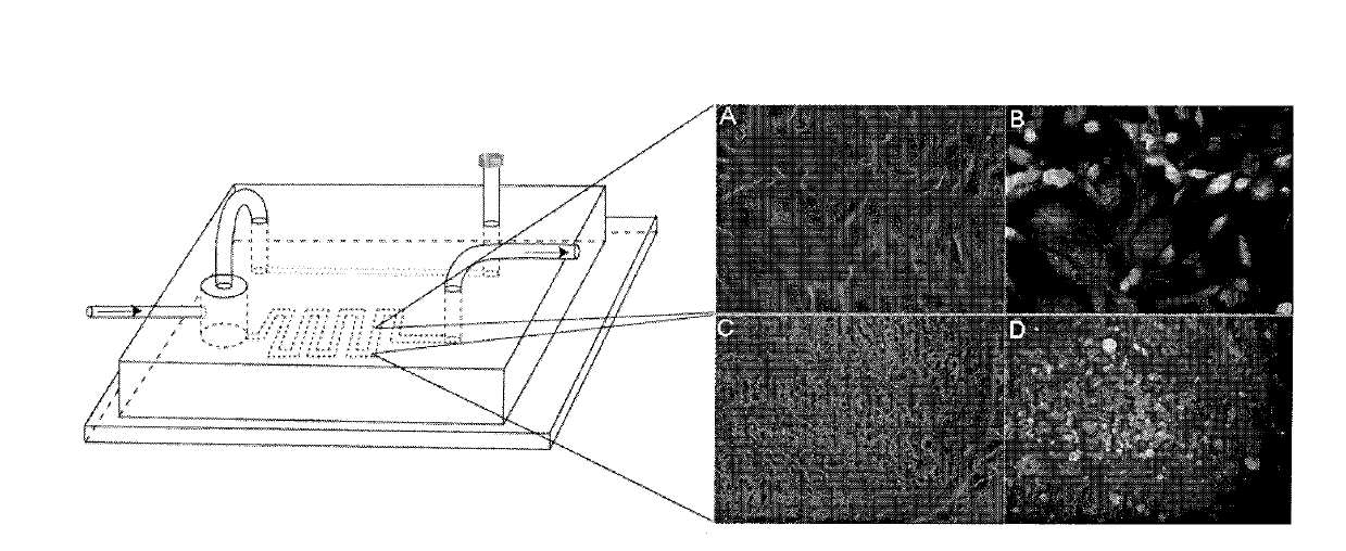 Bubble removing device used for microfluidic channel