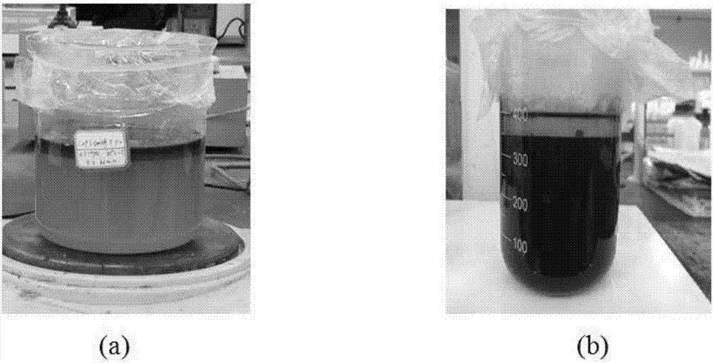 Activated carbon-loaded tetrasulfo cobalt phthalocyanine and application thereof in preparing dimethyl disulfide as catalyst