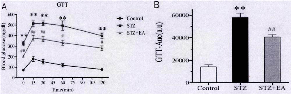 A kind of echinacea functional drink that assists in lowering blood sugar