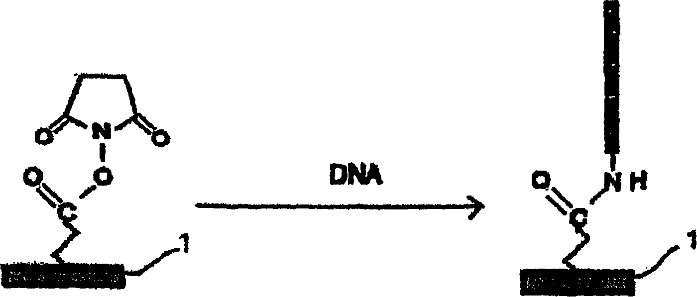 Substrate activation kit and method of detecting DNA or the like by using the same