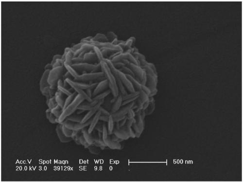 Preparation method of fullerene derivative film with micron flower shape