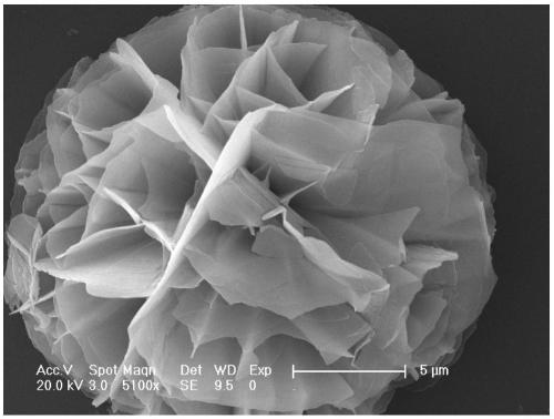 Preparation method of fullerene derivative film with micron flower shape