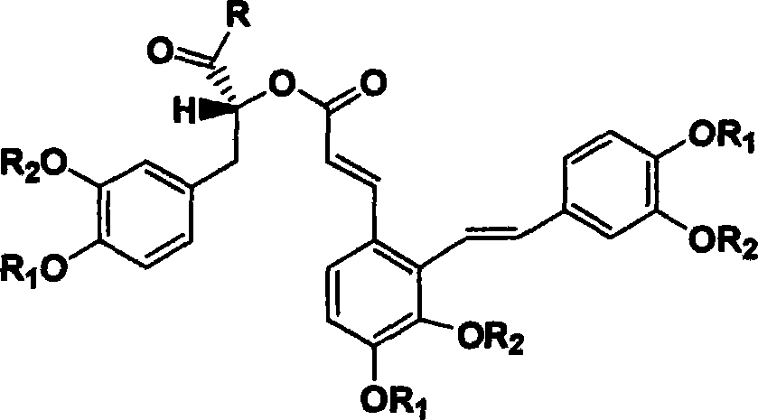 Derivant of salviol acidn A and its application as antioxidant