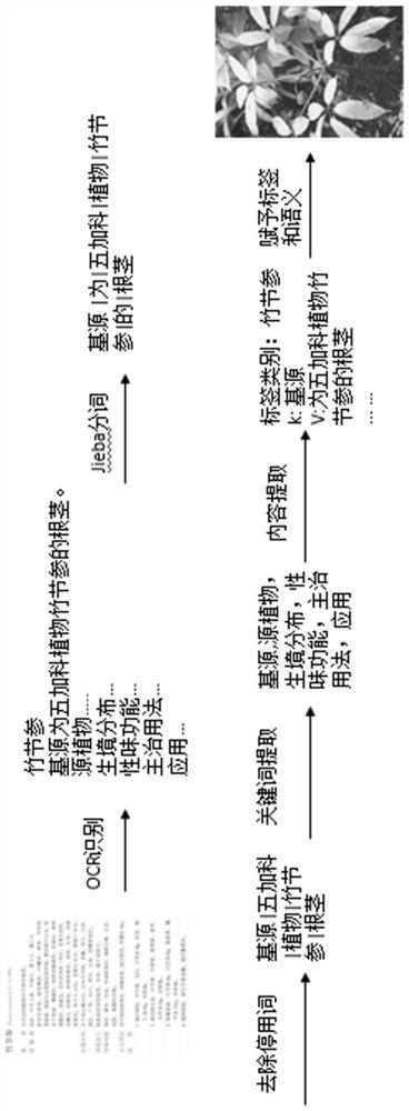 Picture labeling method based on Chinese herbal medicine image-text modal data