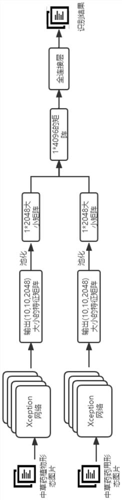 Picture labeling method based on Chinese herbal medicine image-text modal data