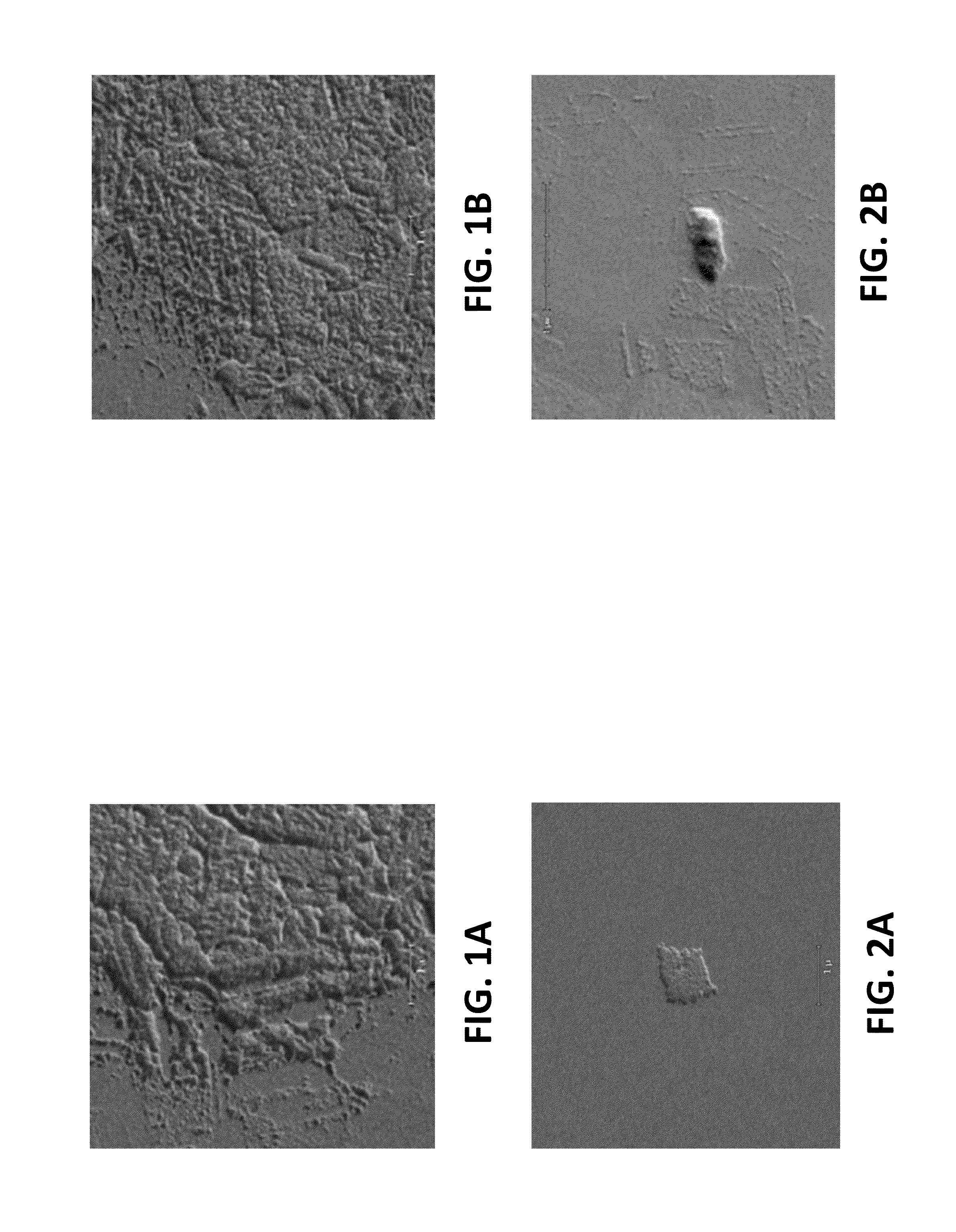 Cleaning composition and method for cleaning semiconductor wafers after cmp