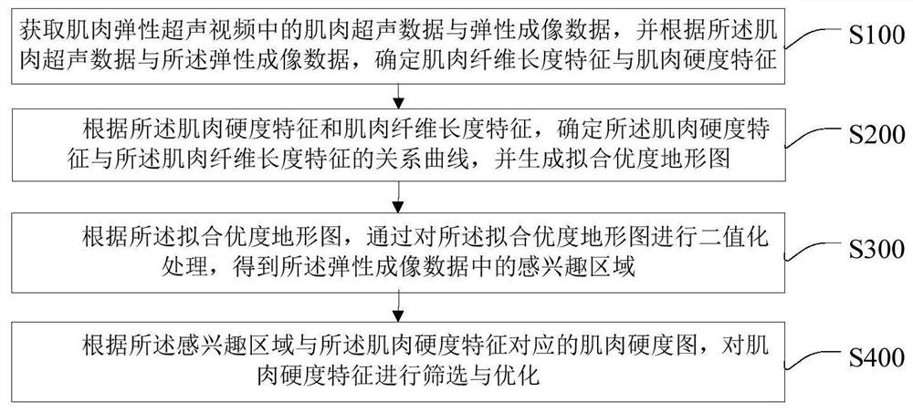 Muscle ultrasonic elastography optimization method and system