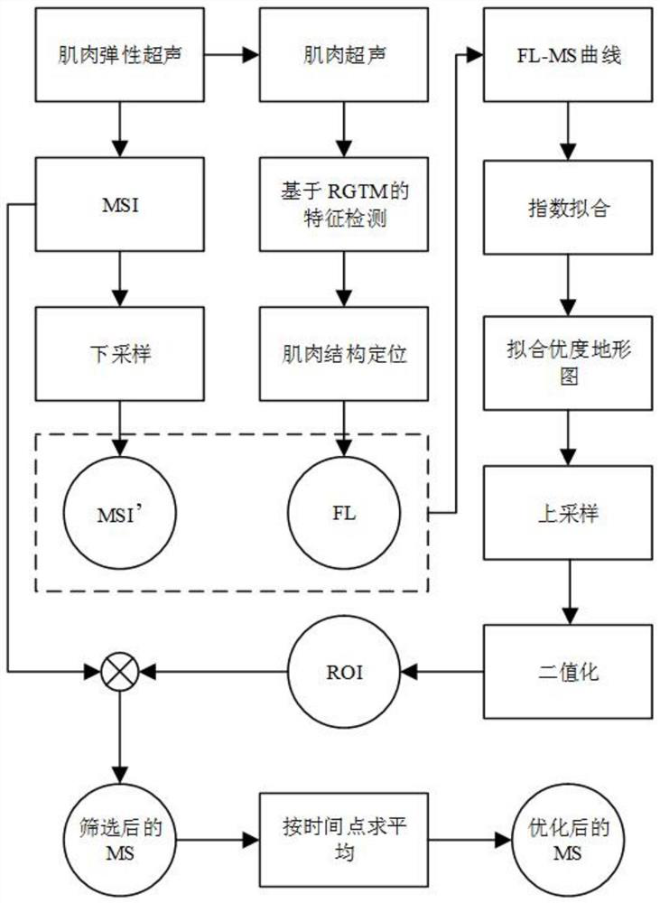 Muscle ultrasonic elastography optimization method and system