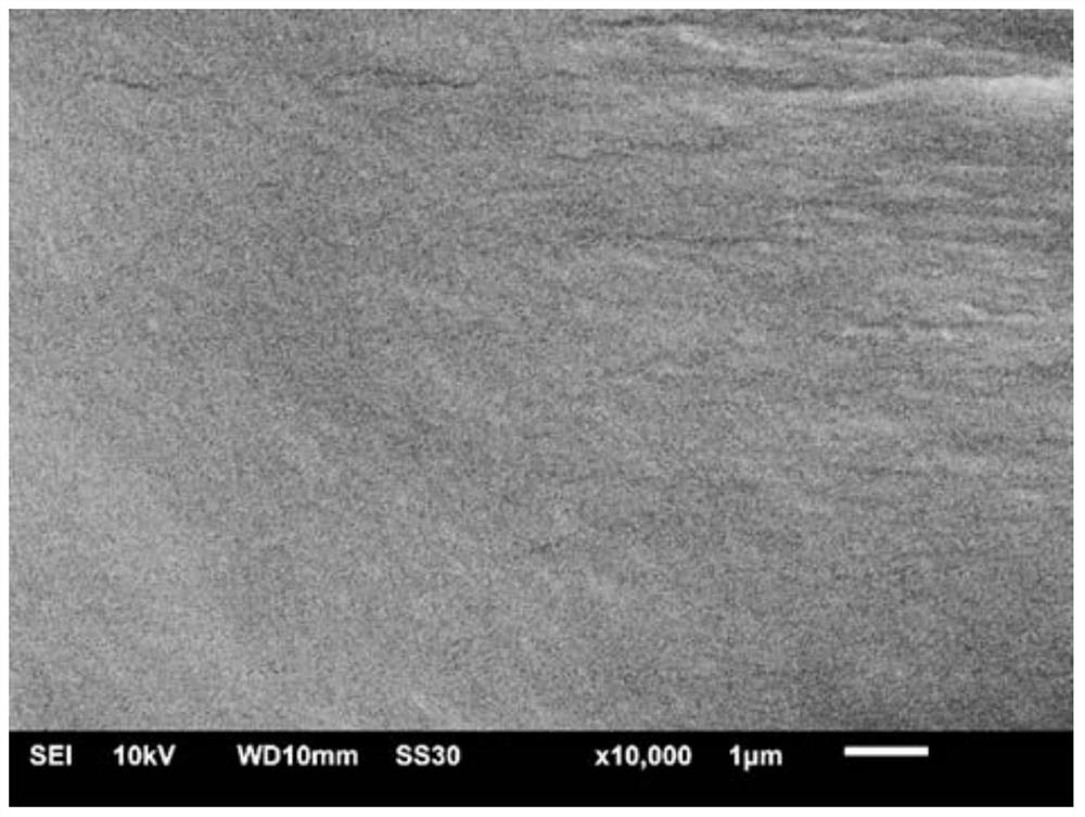 Carboxymethyl chitosan/hydroformylated carboxymethyl cellulose composite membrane and preparation method thereof