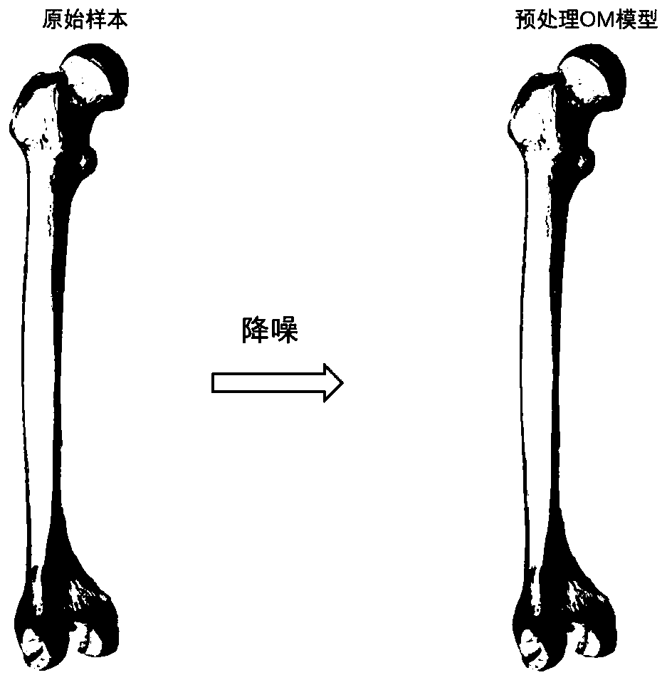 Bone shape averaging-oriented femoral model registration method