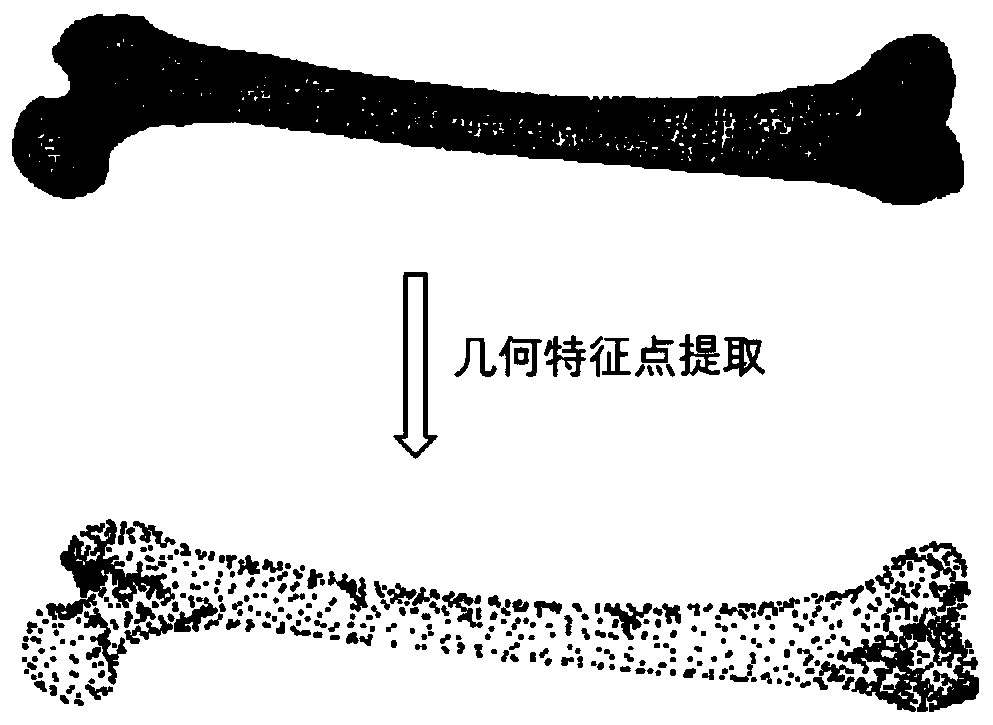 Bone shape averaging-oriented femoral model registration method