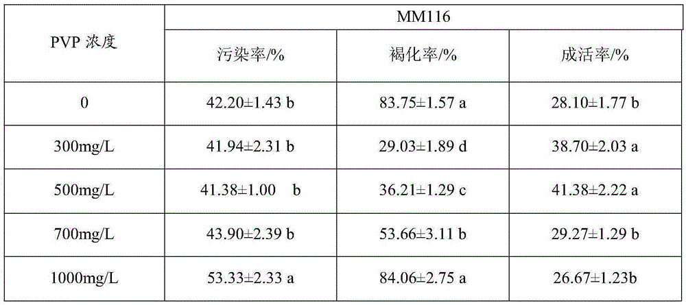 A method for tissue culture and rapid propagation of apple rootstock mm116