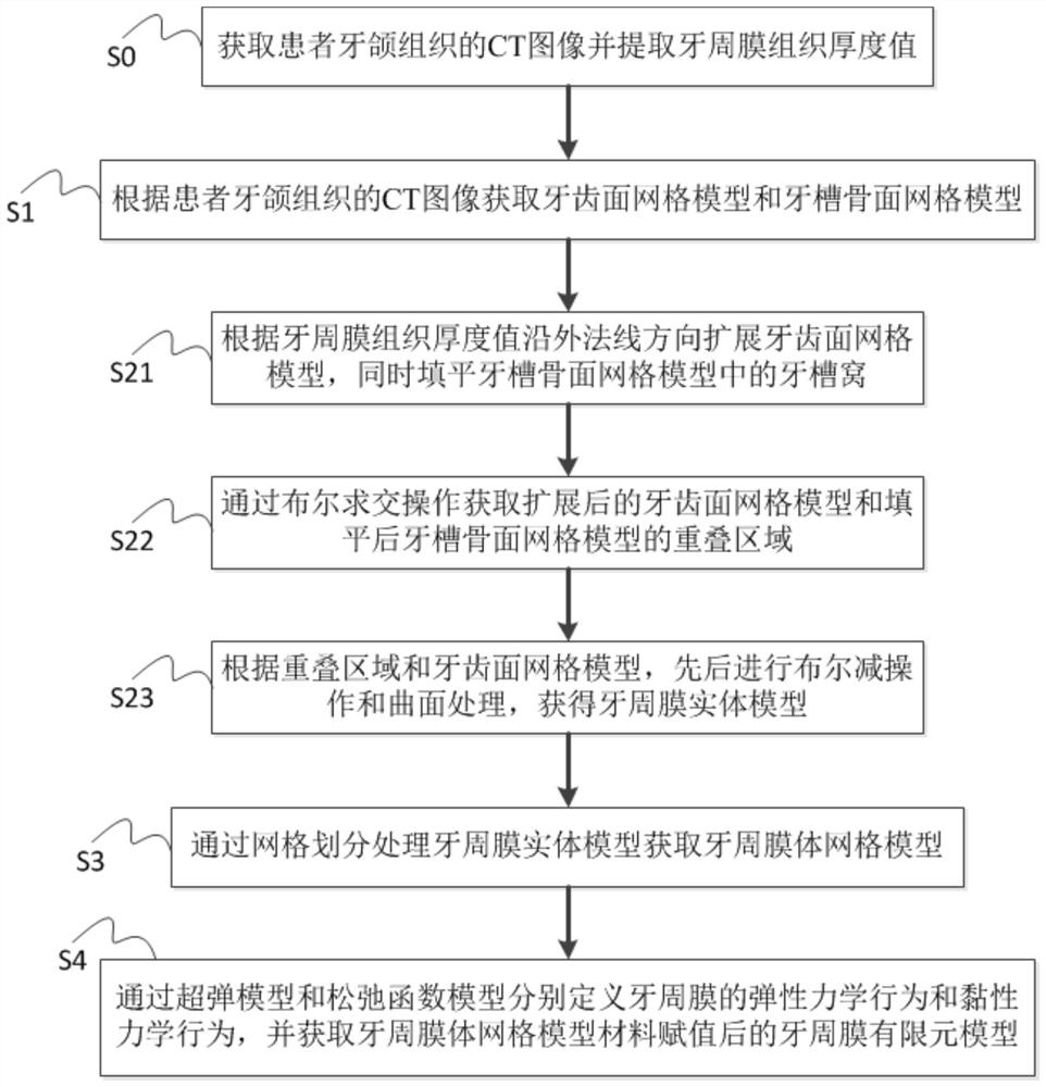 Modeling method and system of periodontal ligament finite element model