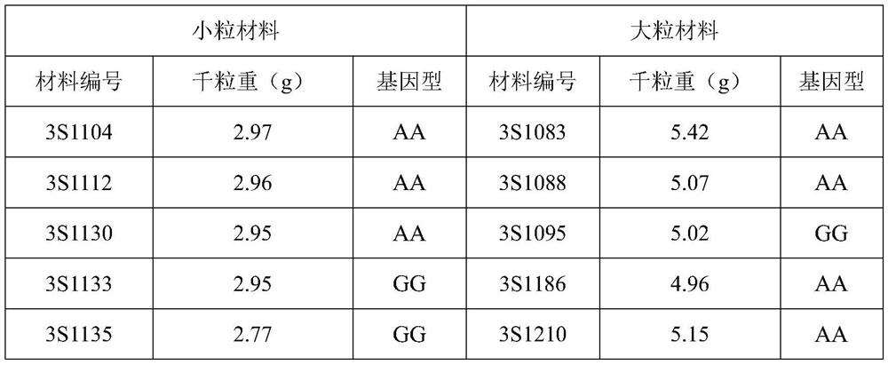 A molecular marker snpa9-5 associated with rapeseed thousand-grain weight and its application