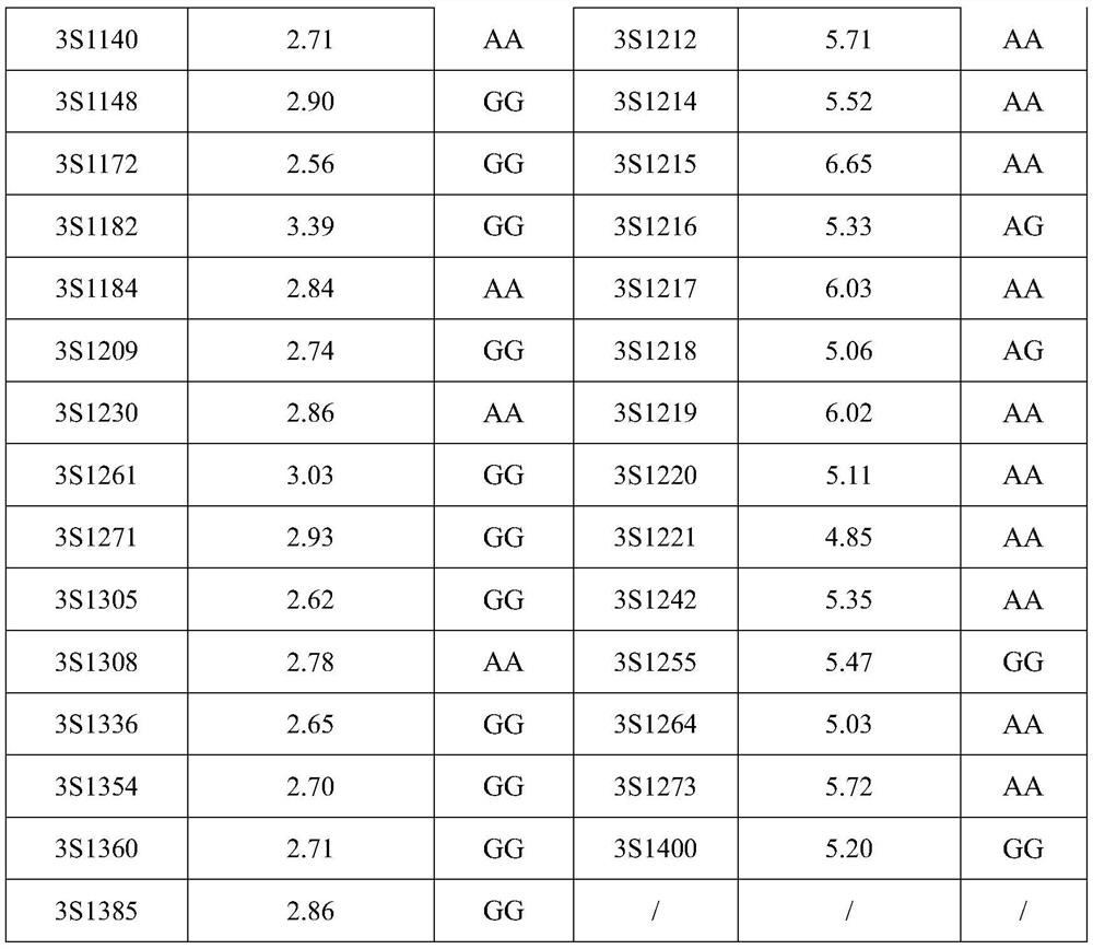 A molecular marker snpa9-5 associated with rapeseed thousand-grain weight and its application