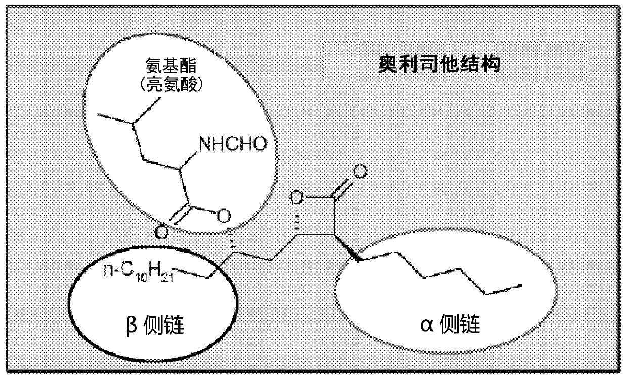 Compound for reducing lipotoxic damage