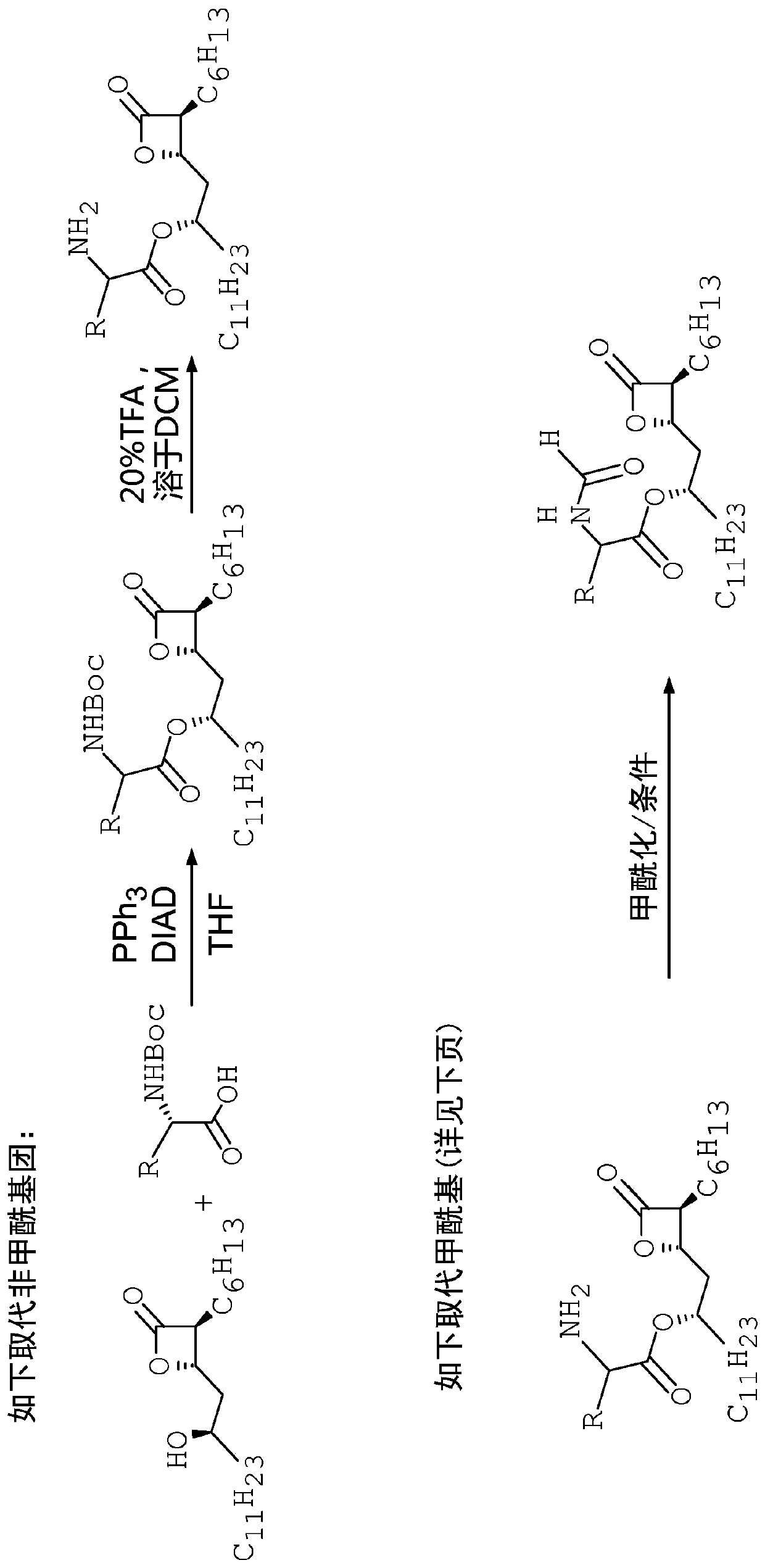 Compound for reducing lipotoxic damage