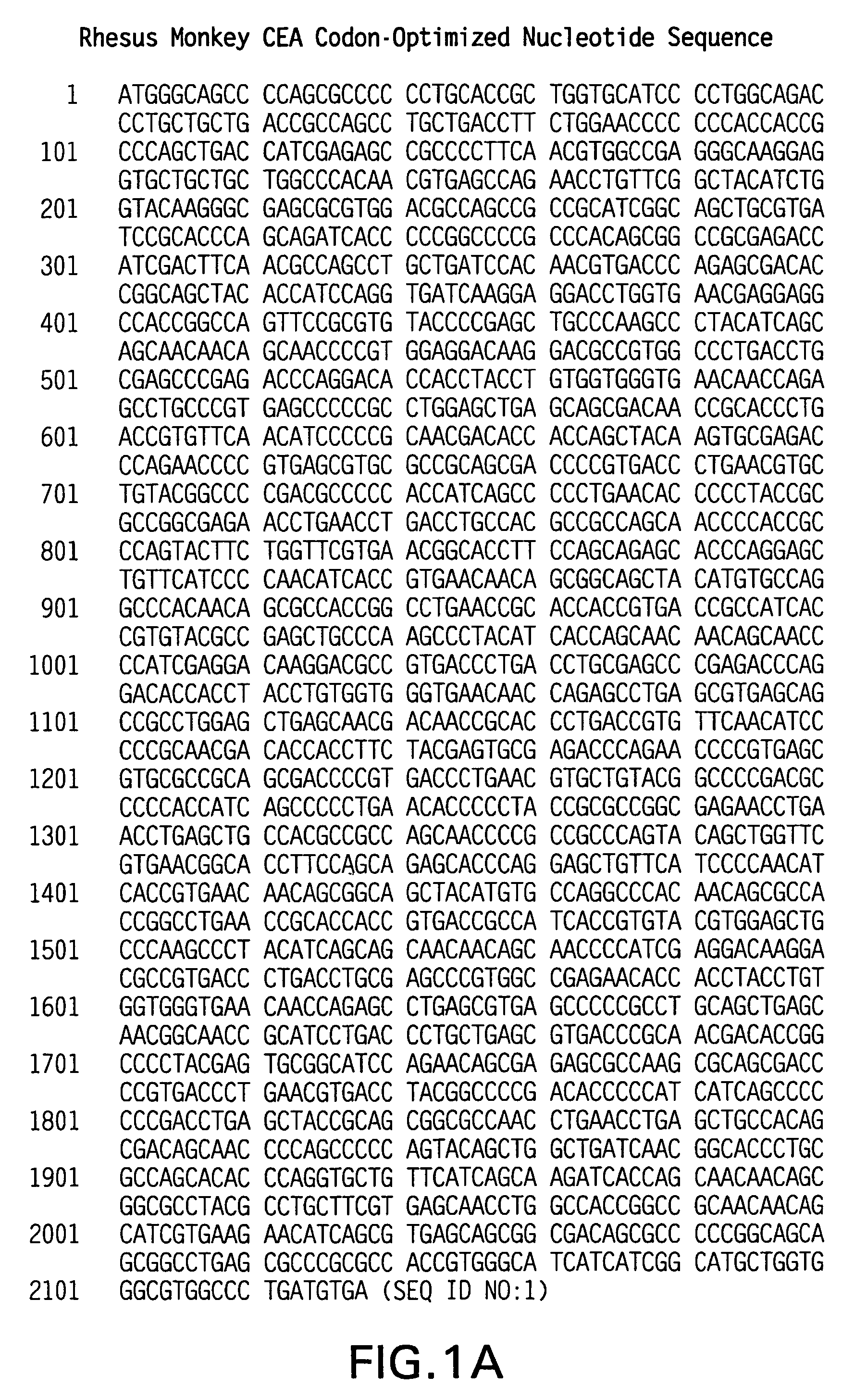 Synthetic gene encoding rhesus monkey carcinoembryonic antigen and uses thereof