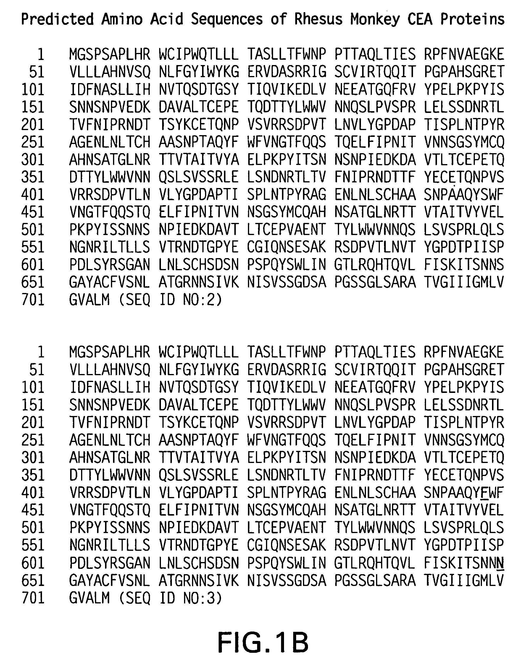 Synthetic gene encoding rhesus monkey carcinoembryonic antigen and uses thereof