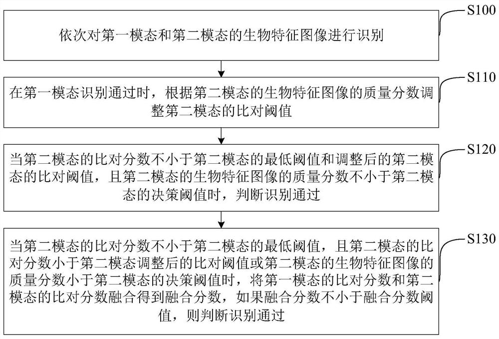 Biological characteristic multi-modal fusion identification method and device, storage medium and equipment