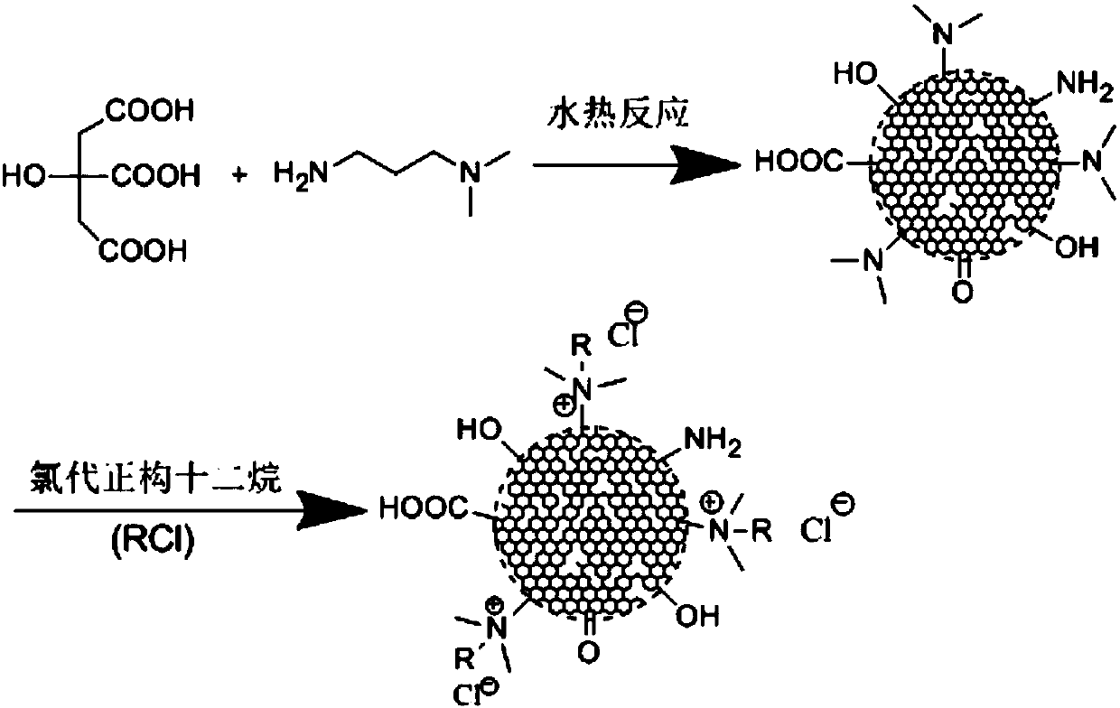 Synthesis method of CQD (carbon quantum dot) quaternary ammonium salt cationic surfactant