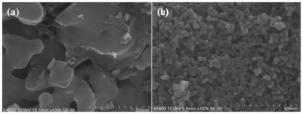 Method for degrading organic pollutants in water by using nitrogen-doped porous carbon anchored monatomic cobalt catalyst to activate persulfate