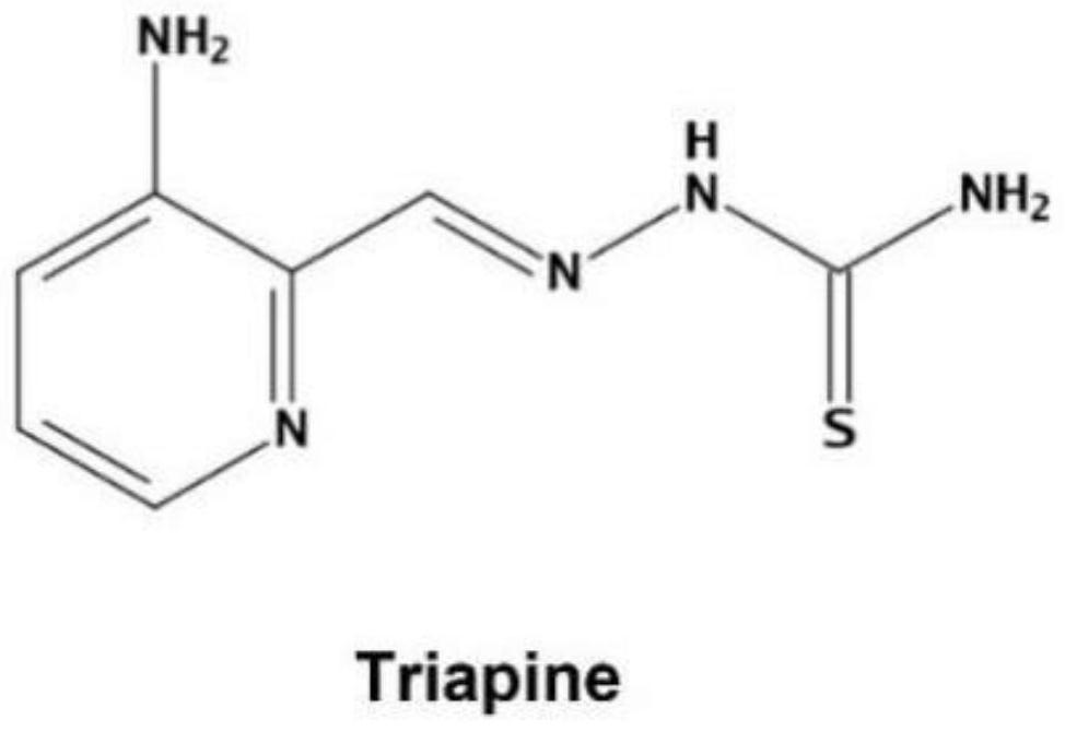 Application of Triapine in treating African swine fever virus infection
